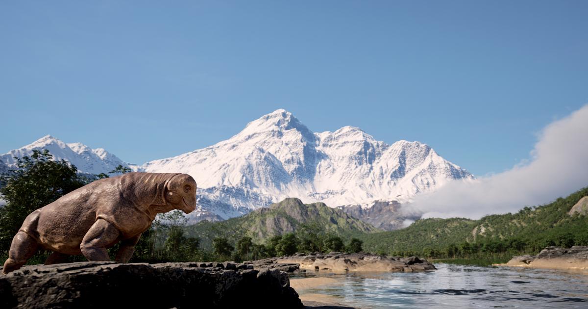 Aux origines des mammifères, le monde avant les dinosaures (France 5) : voyage en terre inconnue