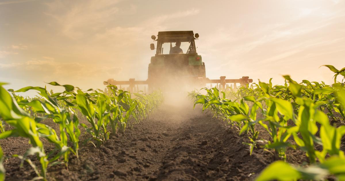 Marseille : prison ferme requise contre un agriculteur accusé de trafic de pesticides