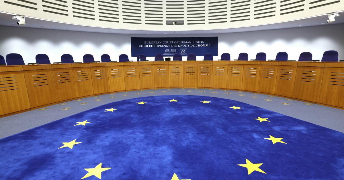 Écriture inclusive : les défenseurs de la langue française saisissent la justice européenne