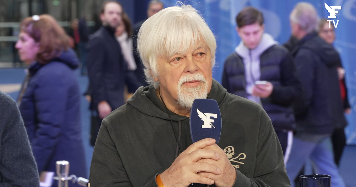 Paul Watson au Figaro TV : «Le cirque de Trump sur le Groenland vise à fracturer l’OTAN mais ça ne donnera rien»