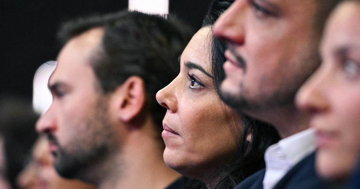 Paulin Césari : «Sophia Chikirou, Insoumise… sauf aux fake news»