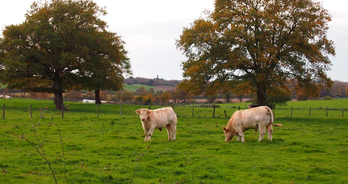 Les opposants à un projet d’extraction d’or se mobilisent samedi dans le Maine-et-Loire