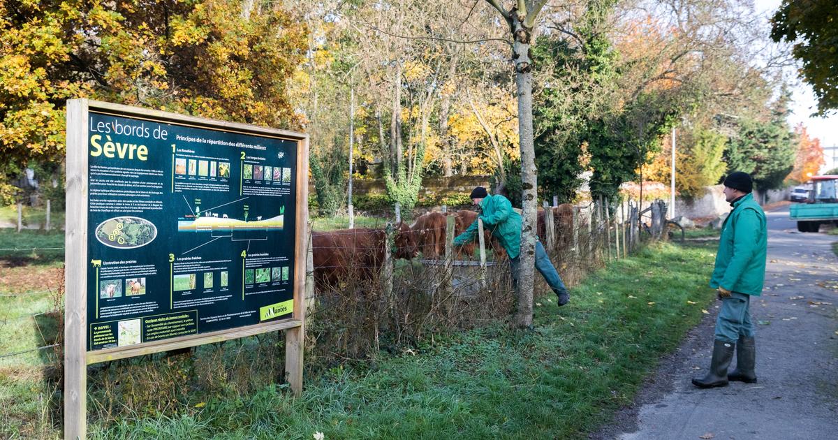 Fonction publique : cette disposition utilisée par certaines collectivités pour travailler moins de 35 heures par semaine