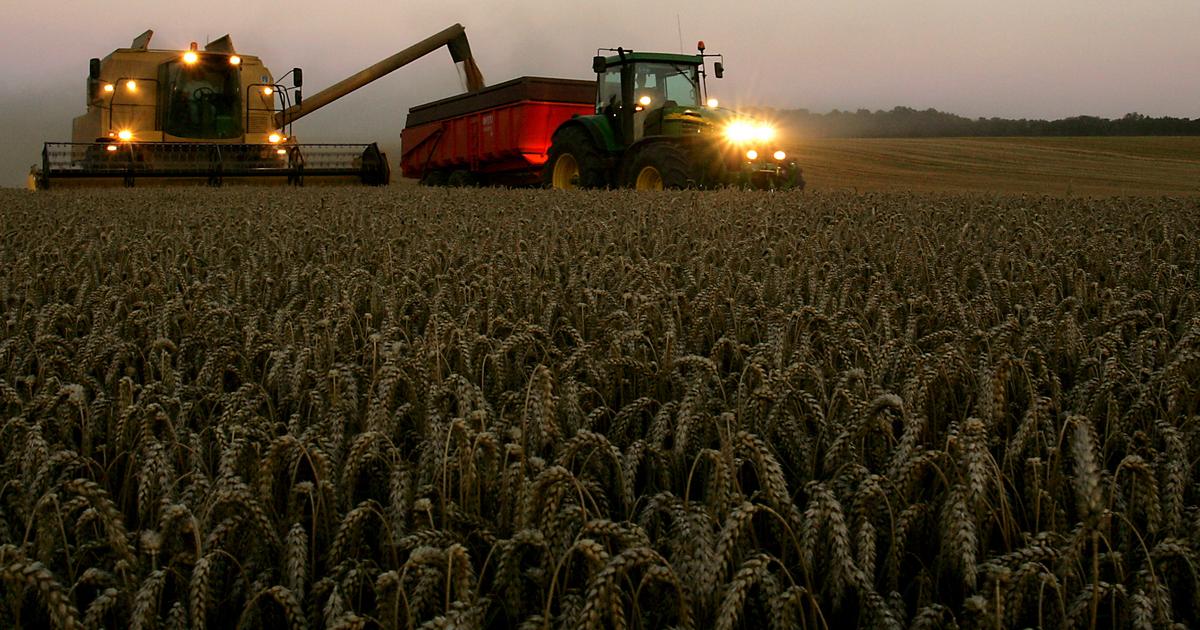 Pourquoi les céréaliers français s’enfoncent dans la crise ? 