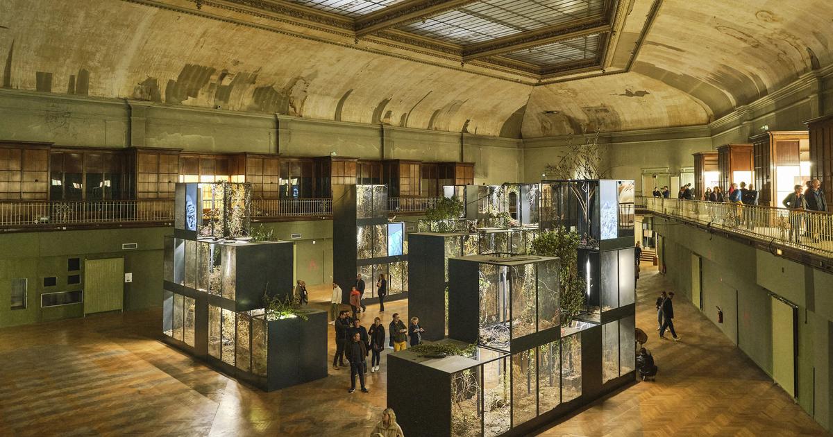 Après 19 ans de fermeture, le musée Guimet de Lyon prêt à reprendre vie