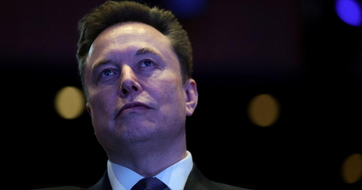 États-Unis : une fresque financée par Elon Musk en hommage à la réfugiée ukrainienne assassinée par un SDF suscite la polémique
