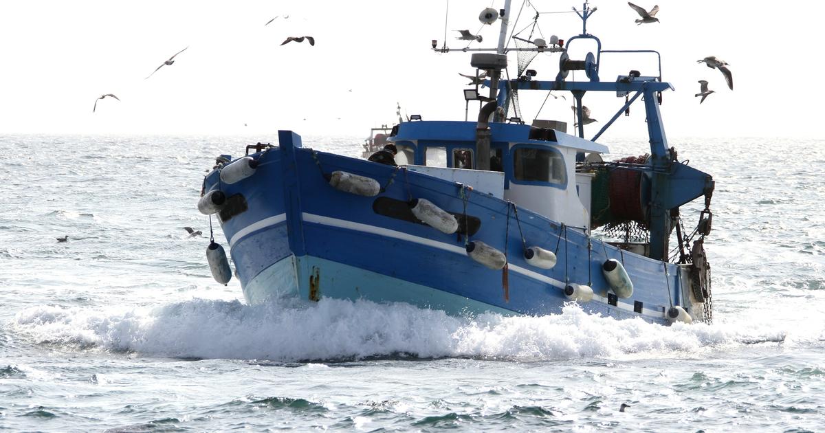 Des chalutiers chinois effectuent une manœuvre troublante en pleine mer