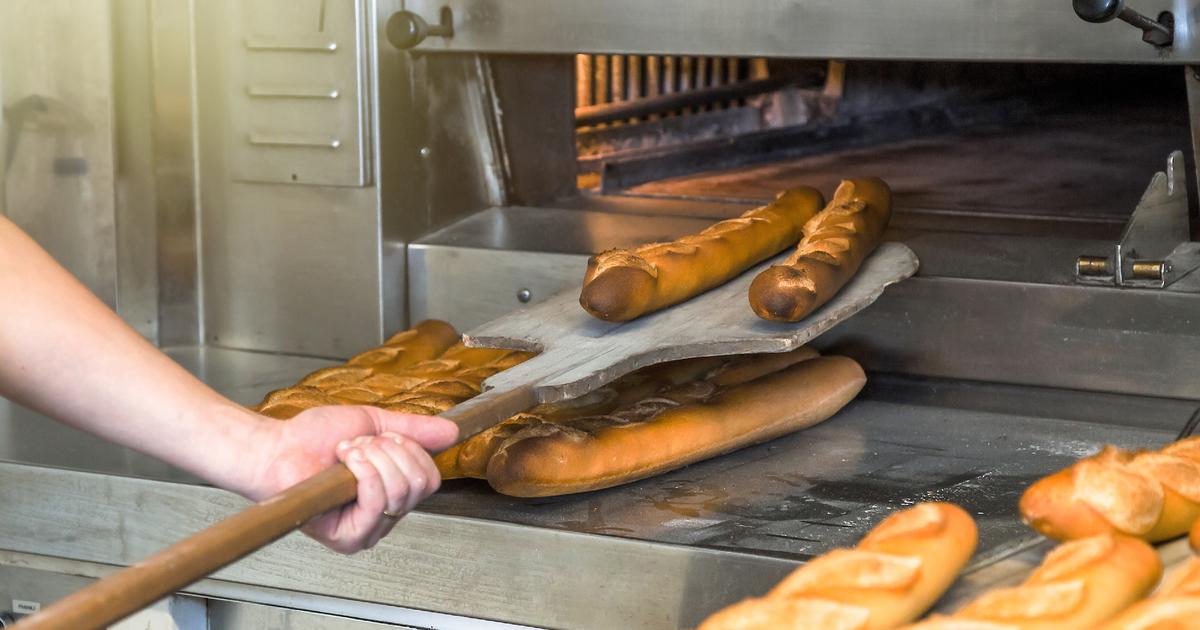 Plus de 44.000 euros récoltés : une vidéo TikTok provoque un élan de solidarité pour une boulangerie en difficulté