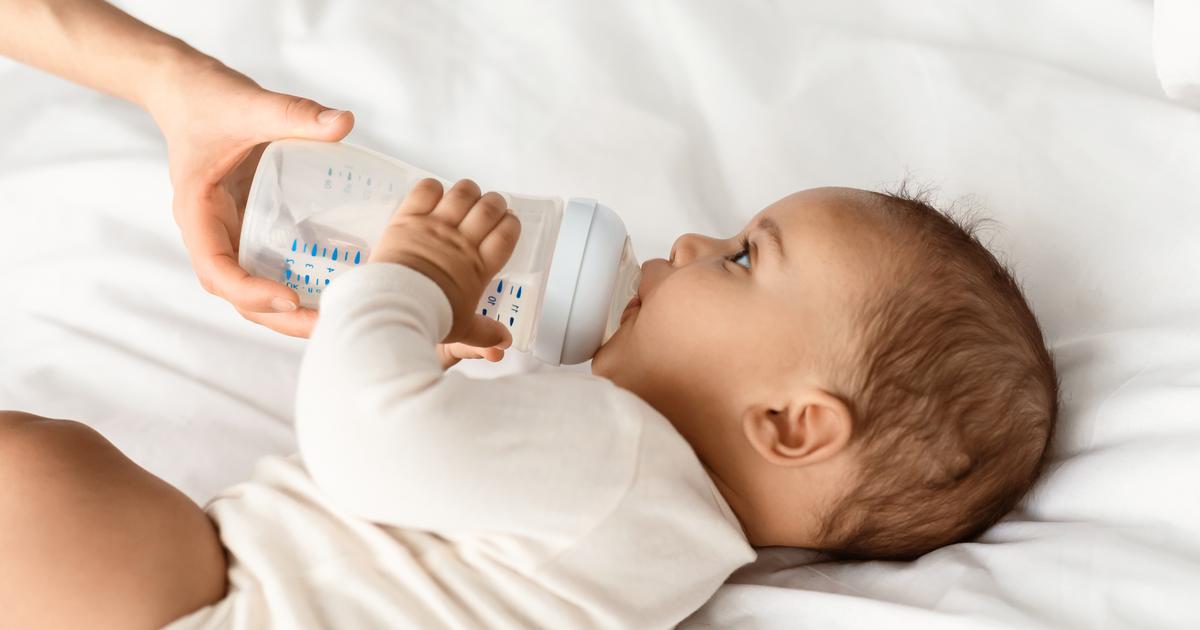 Laits infantiles contaminés : qu'est-ce que la céréulide, la toxine mise en cause?