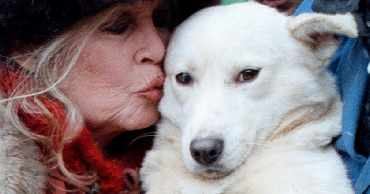 « Nous vivons une époque dure, affolante, injuste » : les vœux de Brigitte Bardot à sa fondation avant son décès