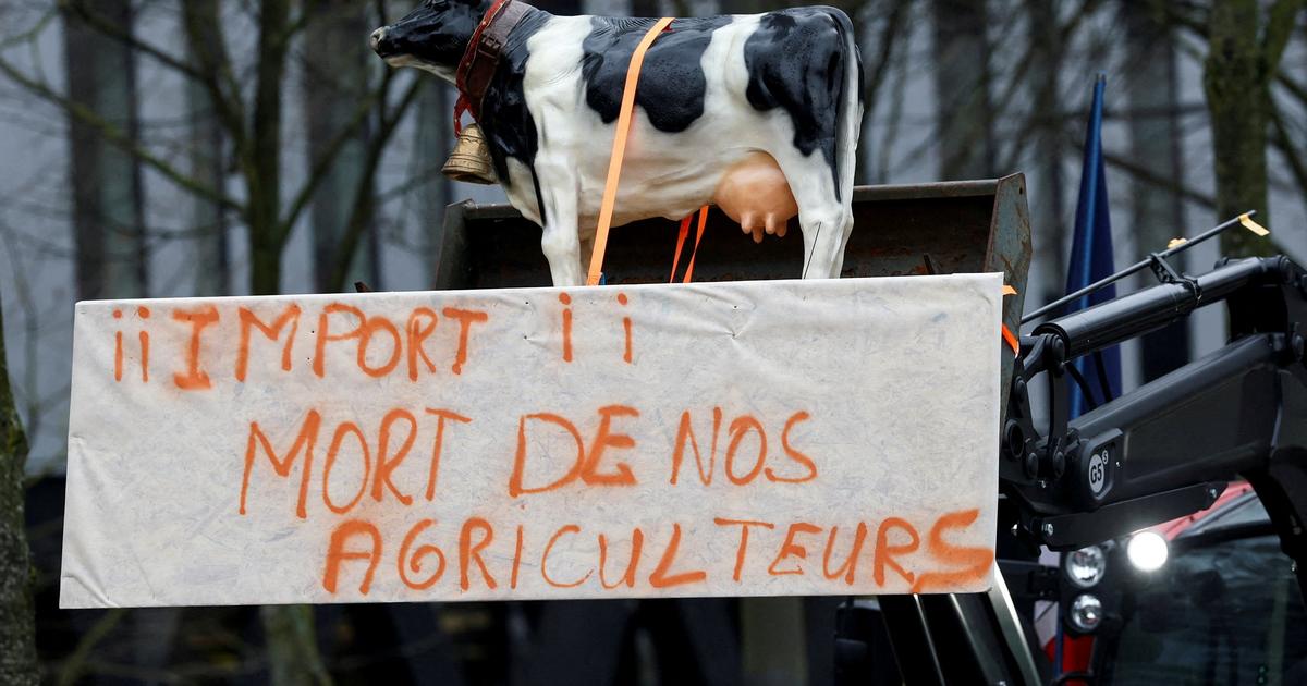 Colère des agriculteurs : un policier grièvement blessé à Strasbourg