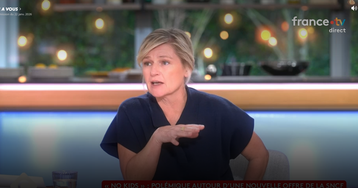 «Parce qu’il y a deux ou trois mauvais coucheurs» : Anne-Élisabeth Lemoine s’insurge contre la tendance «No kids»