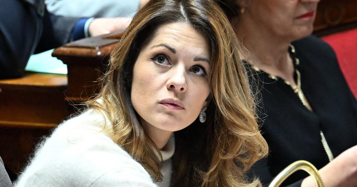 Mercosur: si la Commission passait outre le vote du Parlement européen, ce serait «un viol démocratique»