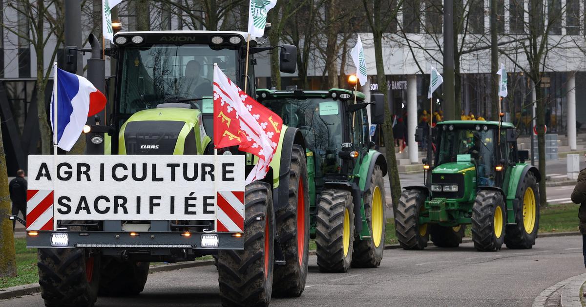 L’euphorie retombée, les agriculteurs s’inquiètent de la possible entrée en vigueur du Mercosur