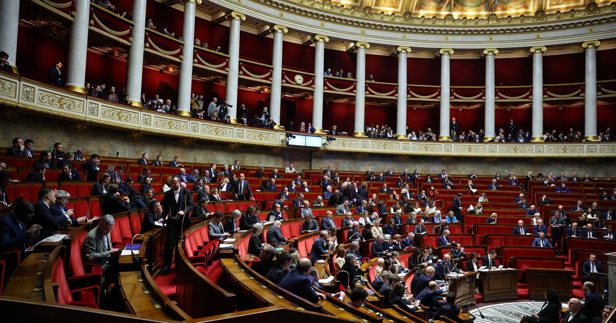 Lutte contre l’islamisme : «Pourquoi l’interdiction des Frères musulmans est une fausse bonne idée»