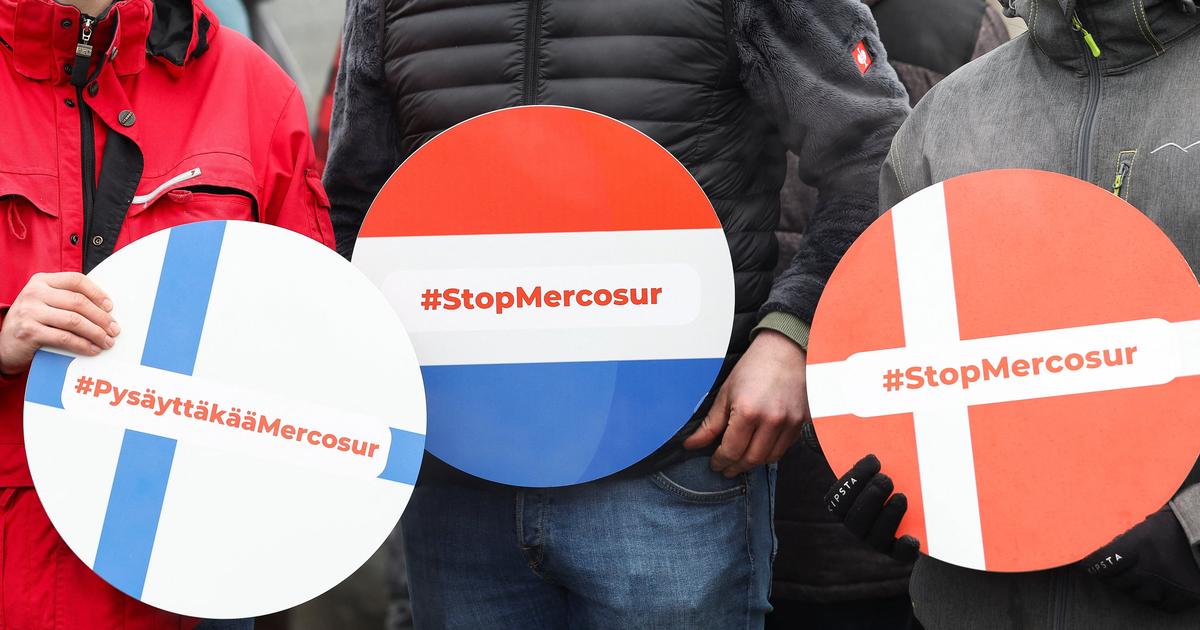 Mercosur : les députés Verts allemands proposent de voter pour une ratification rapide