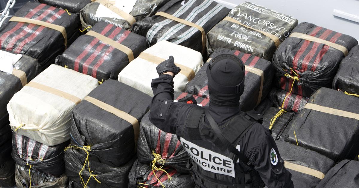 Incorporée dans des peaux de vache et transportée par sous-marins : l’imagination sans limite des trafiquants pour passer la cocaïne