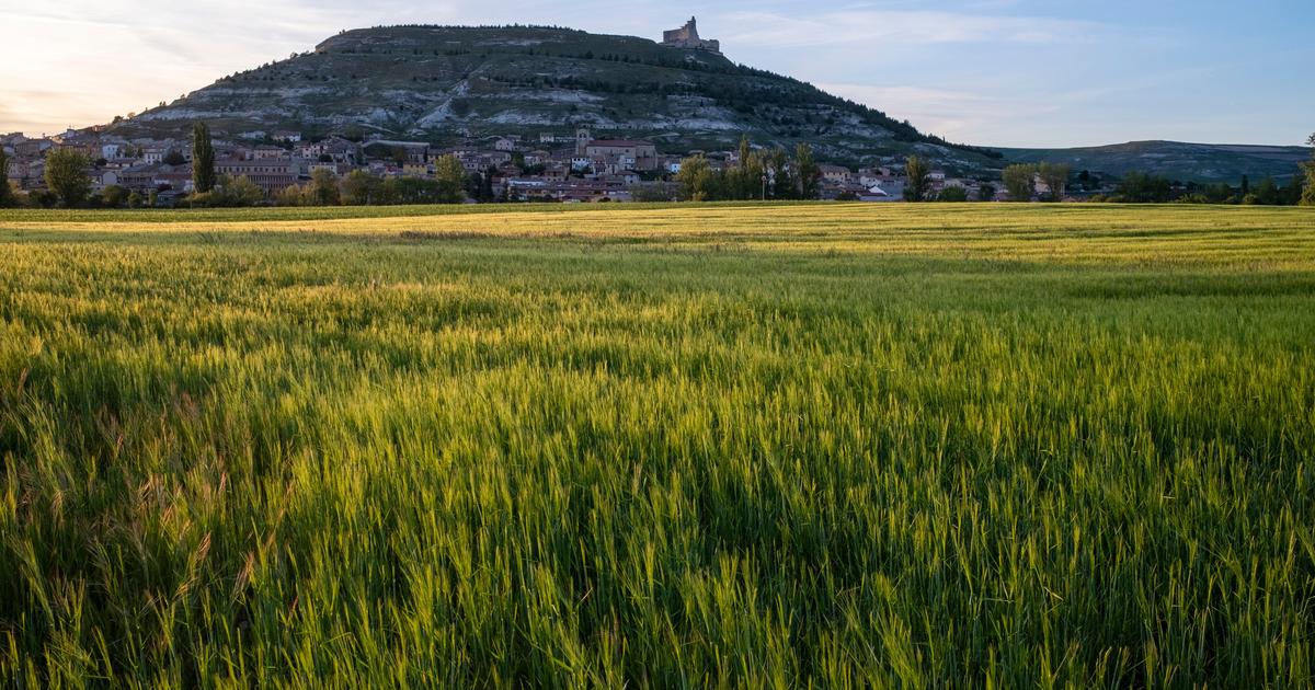 Agriculture: quand la France décline, l’Espagne vole de record en record