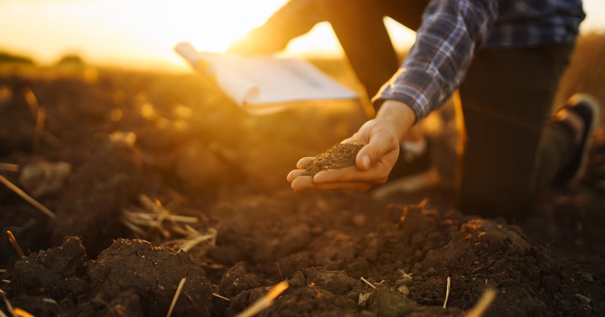 Une vaste étude européenne mesure l’impact des pesticides pour la santé des sols