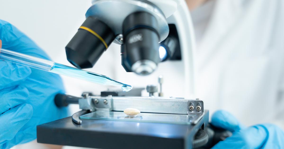 «Passer de la recherche fondamentale à l’entrepreneuriat» : le fonds de capital-risque Daphni parie sur les start-up de rupture dans le domaine des sciences