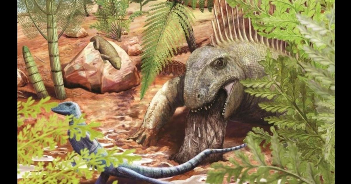 Un vomi de 290 millions d’années est le plus vieil exemple de régurgitation fossile jamais découvert