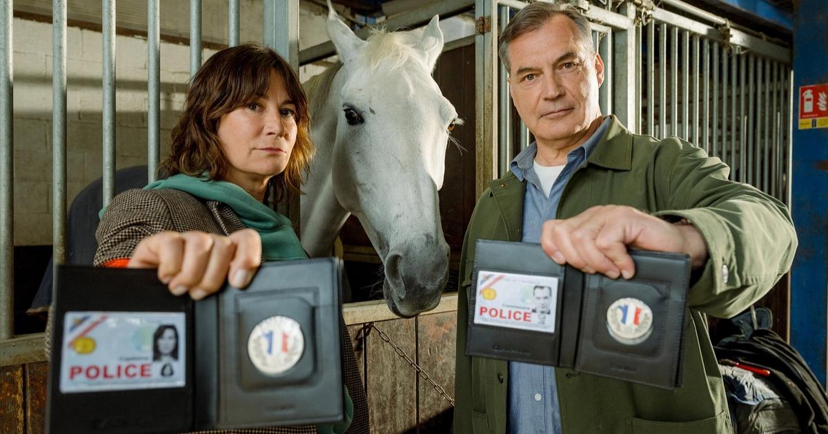 Audiences : France 2 et TF1 au coude-à-coude avec Flair de famille et «Star Academy»