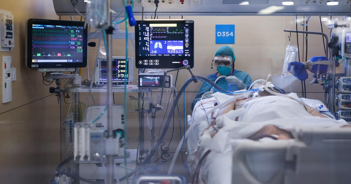 La première greffe de visage à partir d’une donneuse euthanasiée a été réalisée en Espagne