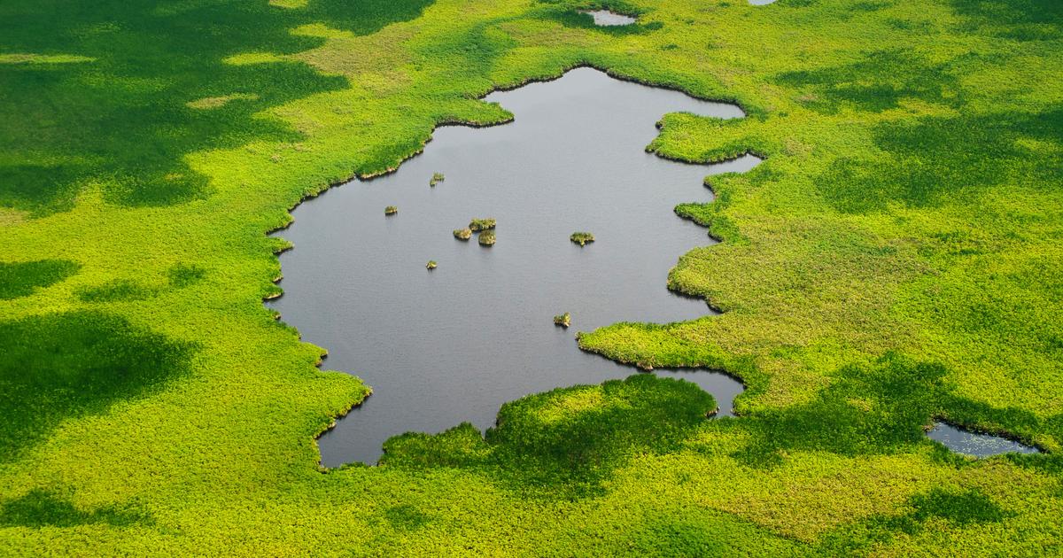 Pourquoi les taux de méthane dans l’atmosphère ont explosé au début des années 2020