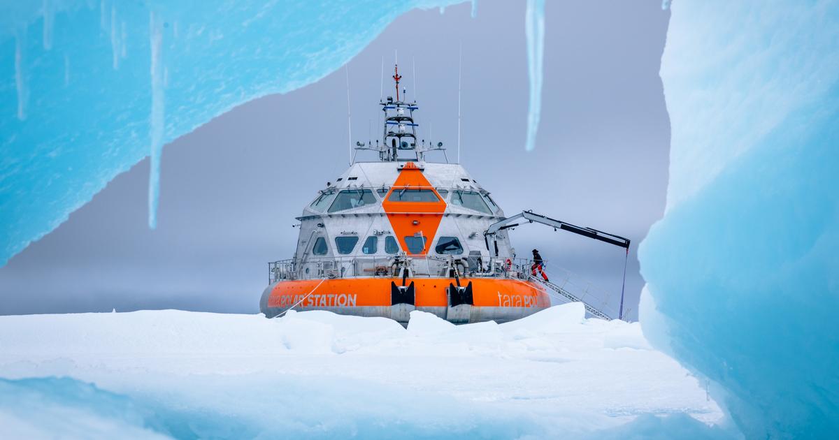 La station polaire Tara revient d’une première expédition dans les glaces de l’Arctique