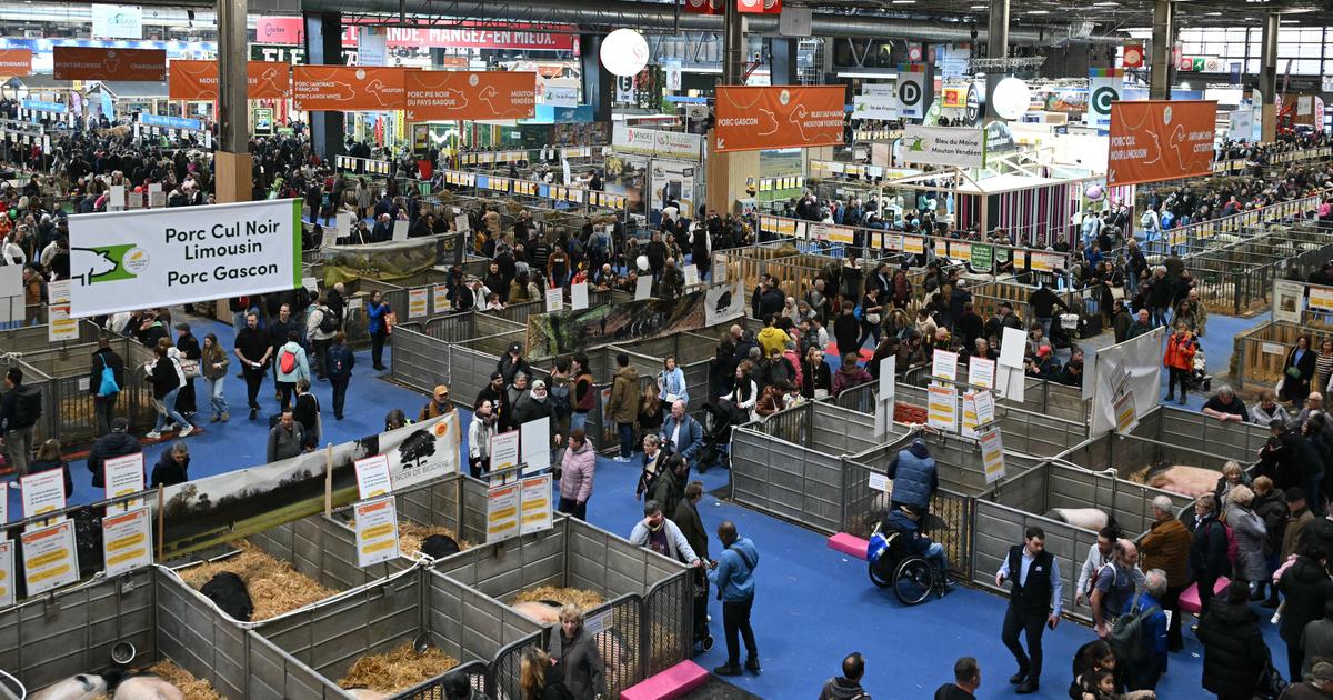 Comment le salon de l’Agriculture se réinvente pour compenser l’absence des vaches
