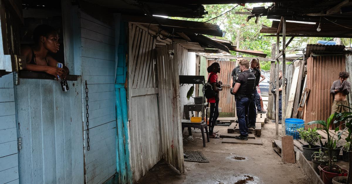 Guyane : avec l’afflux massif de réfugiés haïtiens, la demande d’asile explose