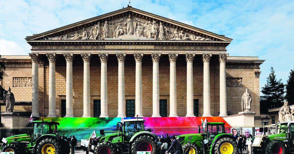 François d’Orcival : «La loi Duplomb de libération de l’agriculture»