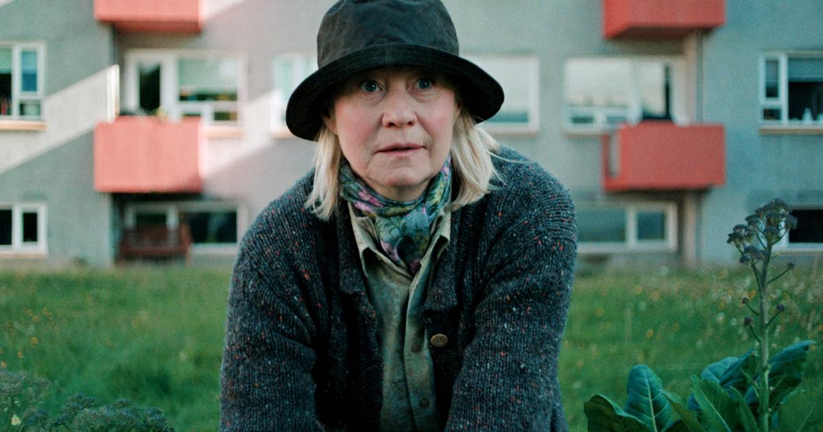 La Voisine danoise  (arte.tv) : une retraitée pas commode