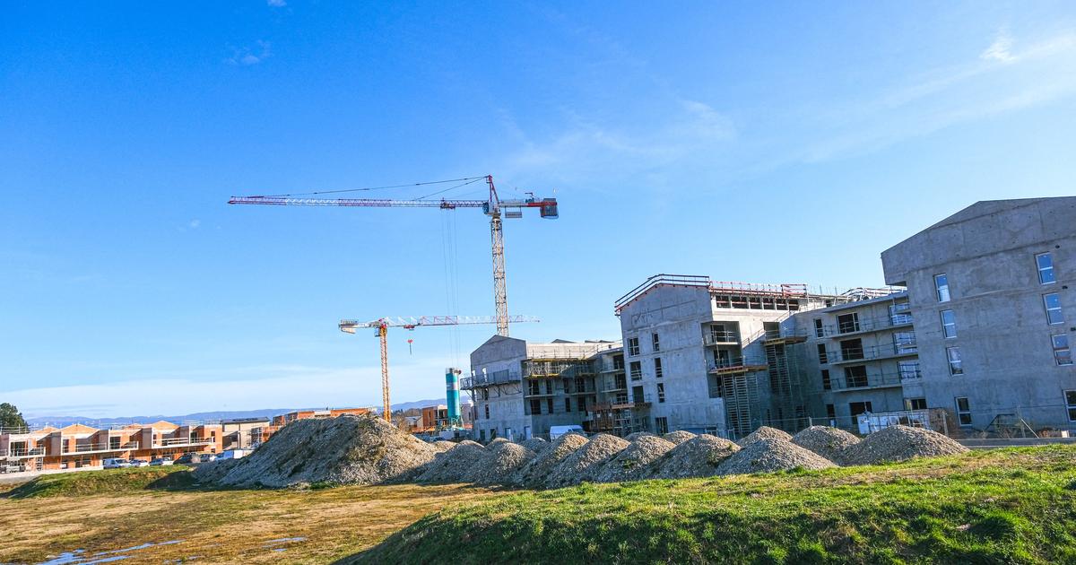 過去 25 年間で、2025 年ほど不動産開発業者が販売した住宅の数がこれほど少なかったことはありません