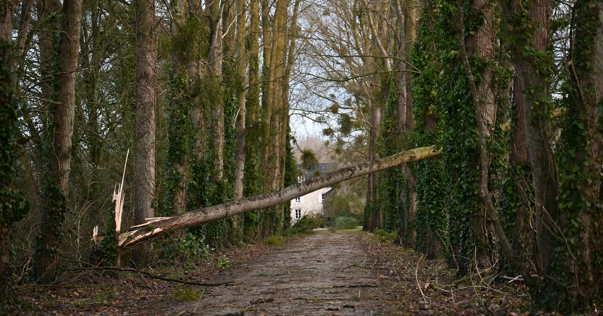 EN DIRECT - Tempête Nils : un mort dans les Landes, un blessé grave dans le Tarn et Garrone, cinq départements en alerte rouge
