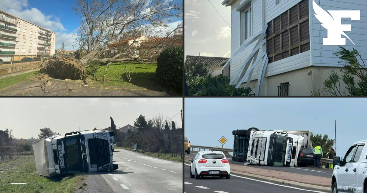 Tempête Nils : les images impressionnantes des dégâts matériels en France