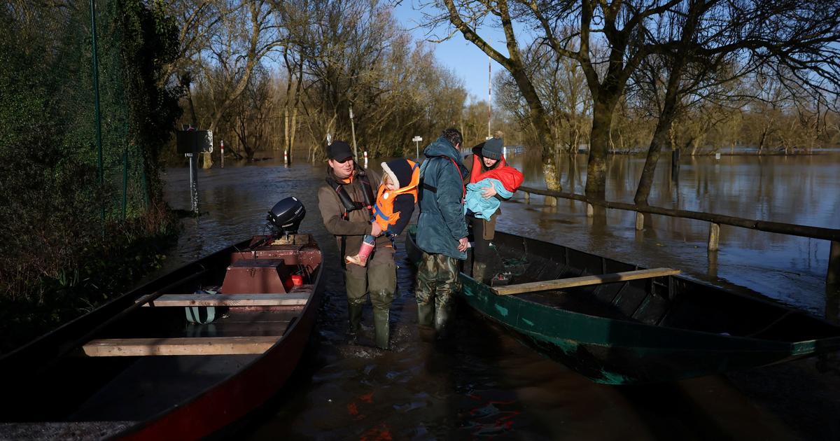 « Des niveaux de crue jamais atteints depuis 25 ans » : la Loire déborde près d'Angers, alerte toujours maximale dans le Sud-Ouest