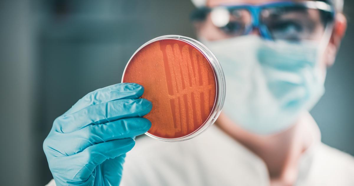 La clé de nouveaux antibiotiques se cache-t-elle dans une bactérie découverte dans une grotte de glace ?