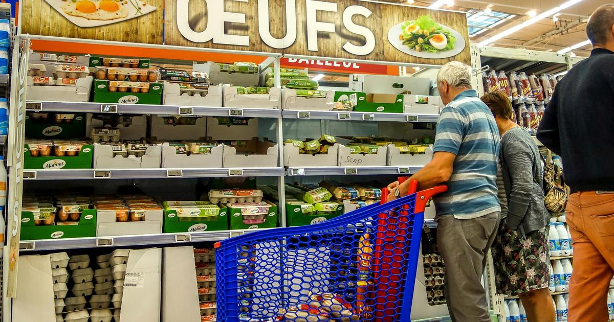 Carrefour, Auchan, Lidl... Plus de 7 supermarchés sur 10 vendraient encore des œufs de poules en cage