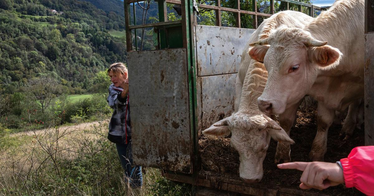 Au nord-est de Lyon, dans le Bugey, le pari d’une agriculture à échelle humaine
