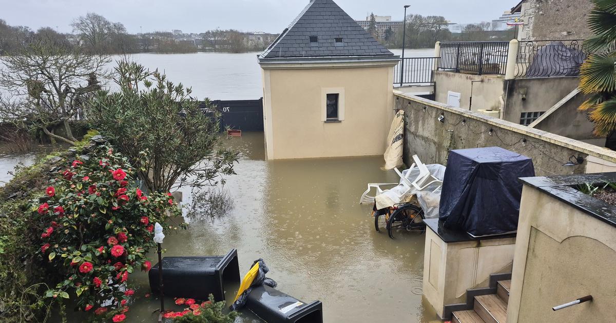 Caves inondées, berges fermées, déplacements limités... La ville d’Angers sous les eaux après la crue de la Maine