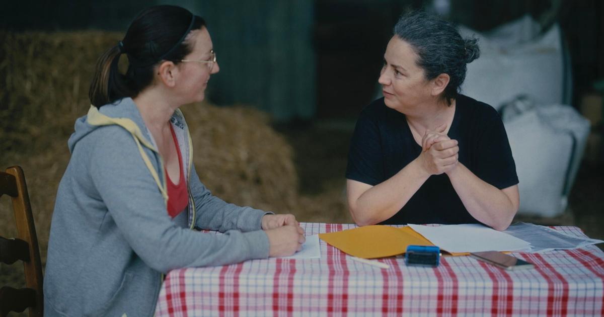 « Véto de campagne » : portrait de femme
