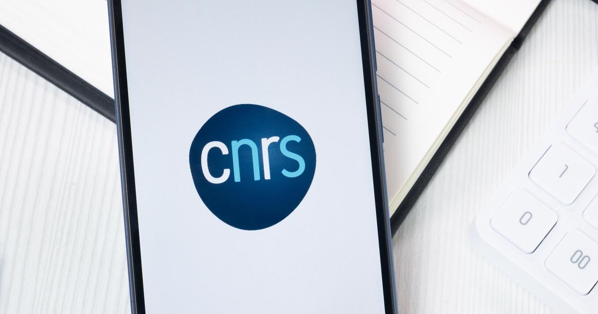 Appel à candidatures prolongé pour remplacer le PDG du CNRS