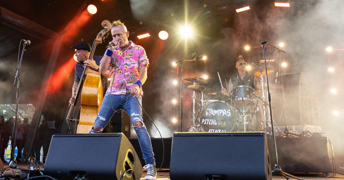 Didier Wampas, punk one day, punk always