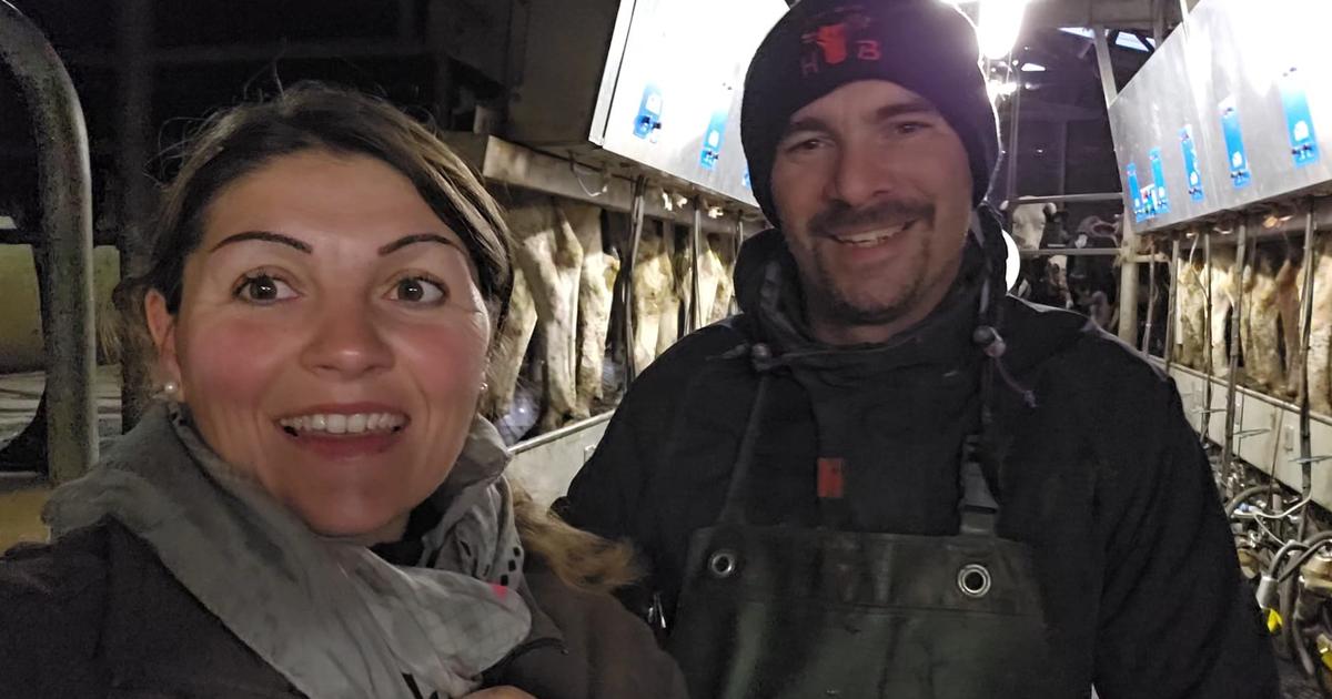 Éleveurs le jour, influenceurs le soir : Élodie et Julien, les youtubeurs de l’agriculture