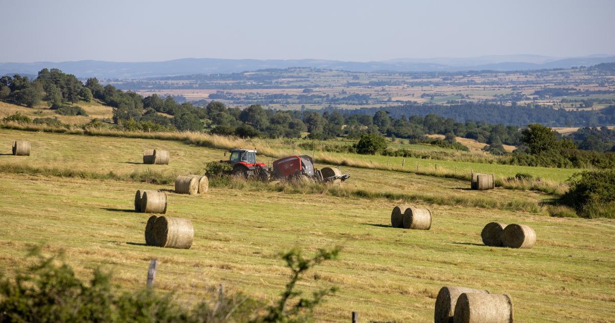 Nostalgie et utopie réglementaire, les deux mamelles du déclin de l’agriculture française