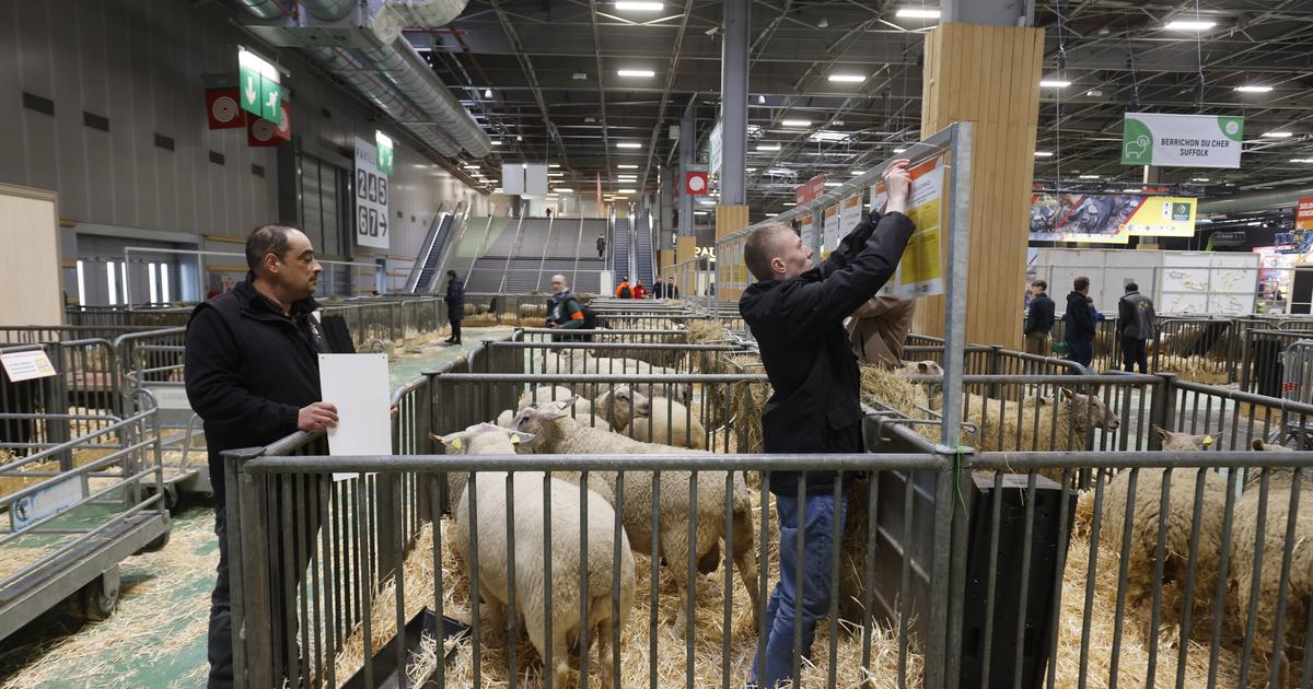Sans vache et sous haute surveillance, un Salon de l’agriculture inédit s’ouvre à Paris