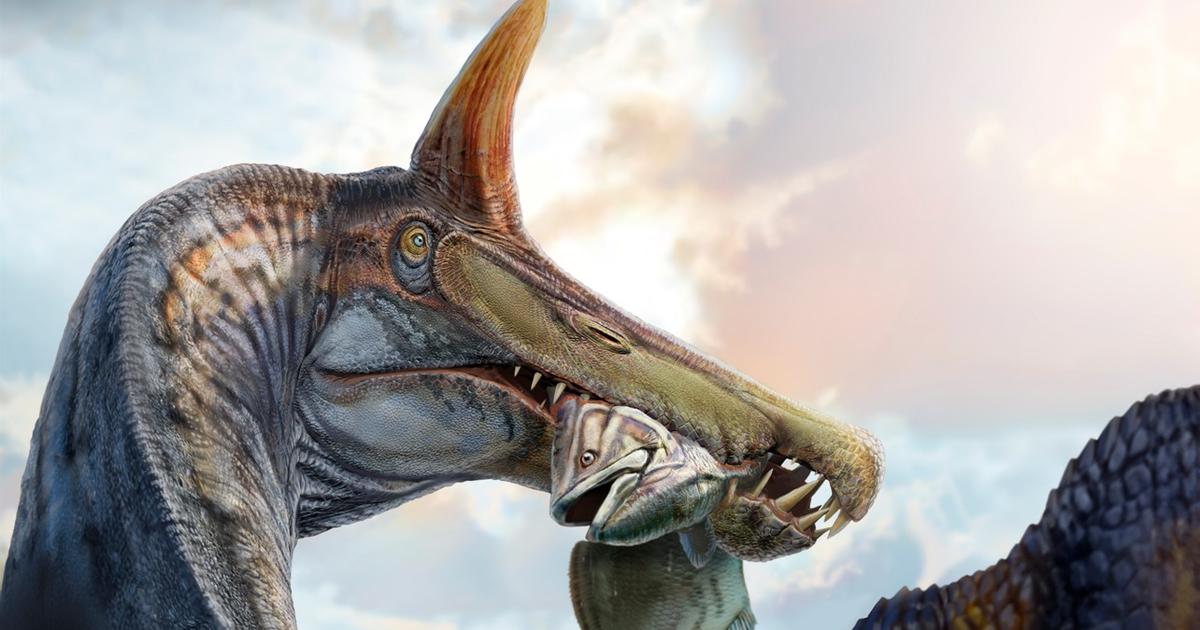 Un mystérieux dinosaure aquatique découvert au cœur du Sahara