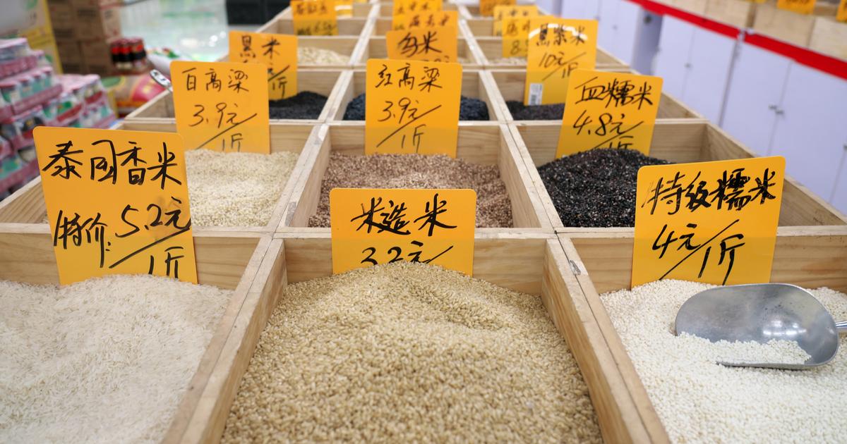 Des niveaux de consommation quotidienne de cadmium inquiétants en Chine à cause du riz