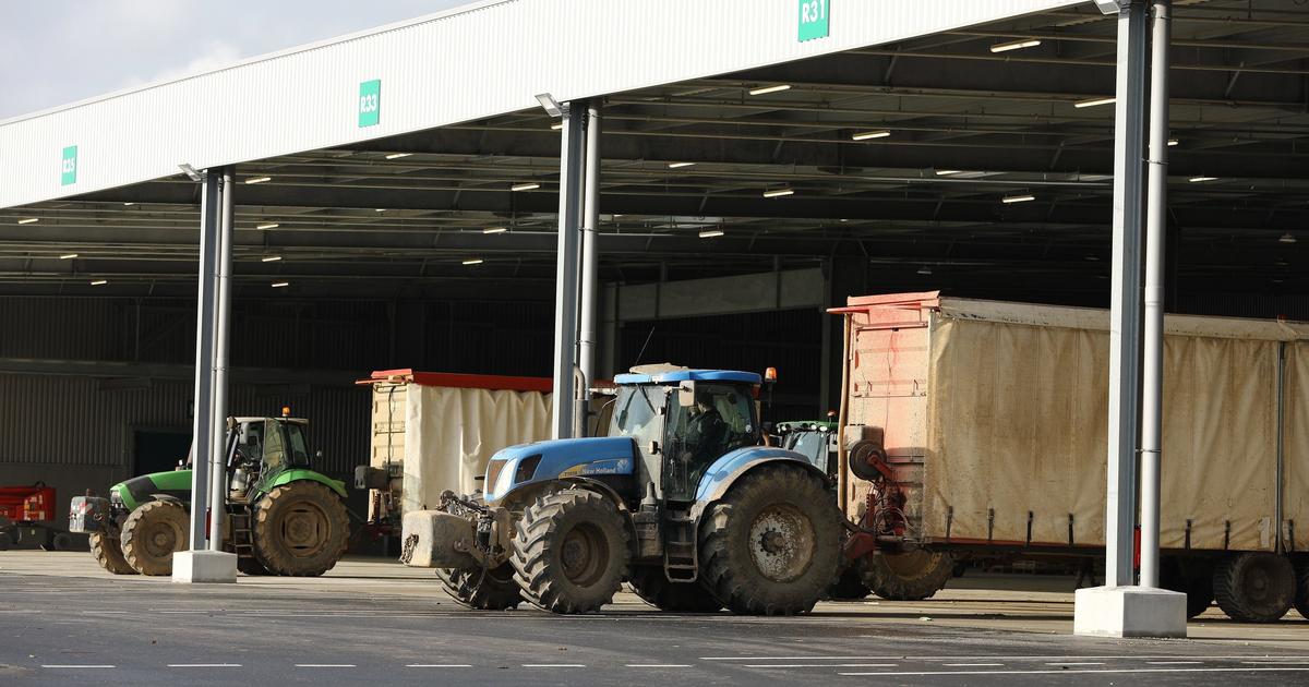 Du « problème breton » au « modèle breton » : comment les coopératives ont révolutionné l’agriculture dans le nord du Finistère